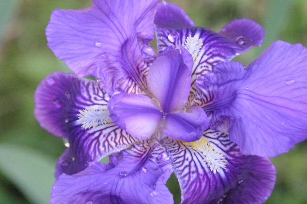 f:id:munosan:20150505165420j:plain f:id:munosan:20150505165420j:plain