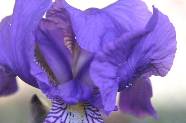 f:id:munosan:20150505165513j:plain f:id:munosan:20150505165513j:plain