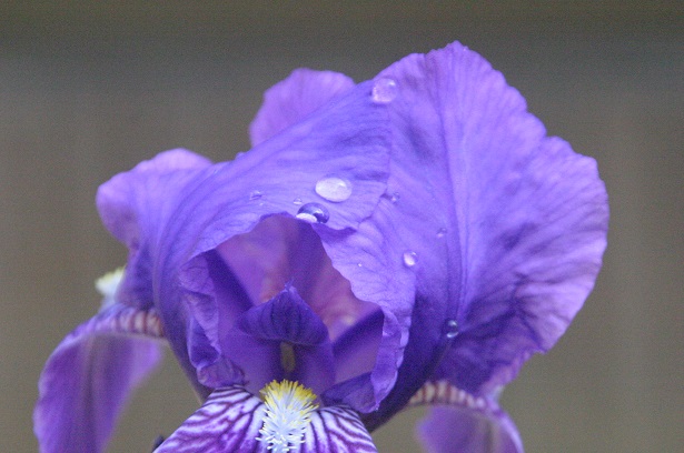 f:id:munosan:20150505165535j:plain f:id:munosan:20150505165535j:plain