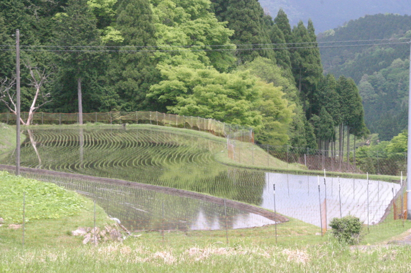 f:id:munosan:20150509191120j:plain f:id:munosan:20150509191120j:plain