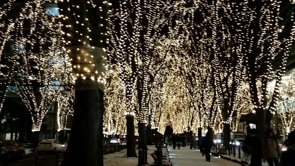 f:id:murakamikanako:20141221170555j:plain f:id:murakamikanako:20141221170555j:plain