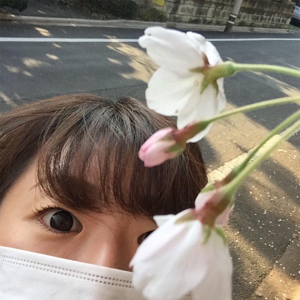 f:id:muraya:20160331081305j:image f:id:muraya:20160331081305j:image