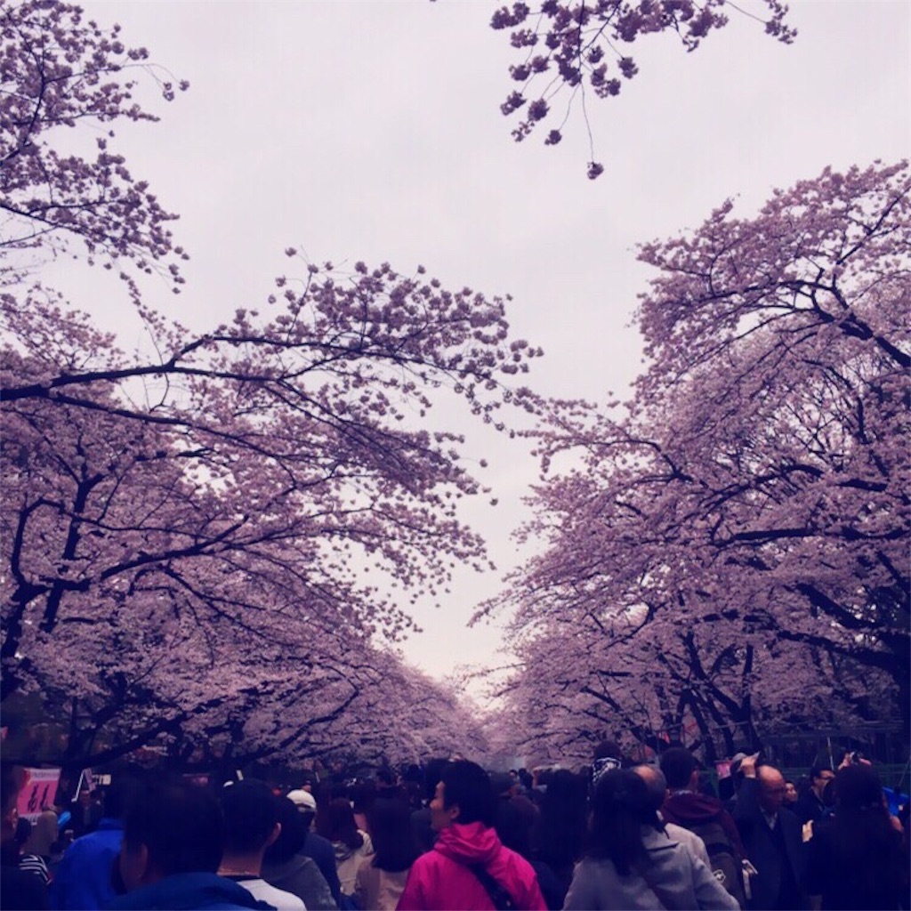 f:id:muraya:20160403161639j:image f:id:muraya:20160403161639j:image