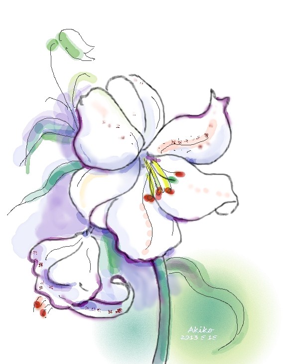 f:id:mursakisikibu:20130517063854j:plain f:id:mursakisikibu:20130517063854j:plain