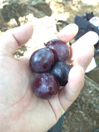 f:id:musokamui:20140923101833j:plain f:id:musokamui:20140923101833j:plain