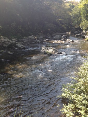 f:id:musokamui:20140923115903j:plain f:id:musokamui:20140923115903j:plain