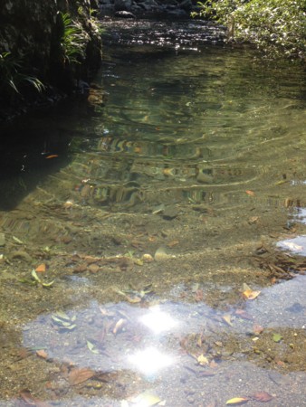 f:id:musokamui:20140923123314j:plain f:id:musokamui:20140923123314j:plain