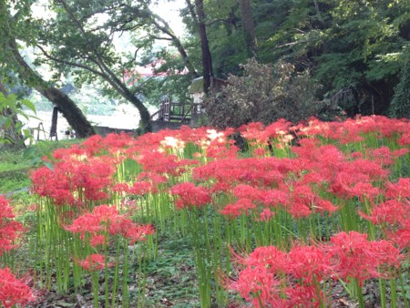 f:id:musokamui:20140923142557j:plain f:id:musokamui:20140923142557j:plain