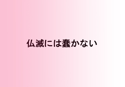 f:id:mutekiinc:20130924231645j:plain f:id:mutekiinc:20130924231645j:plain