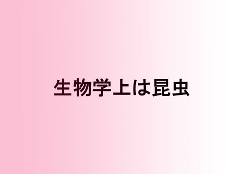 f:id:mutekiinc:20130924231711j:plain f:id:mutekiinc:20130924231711j:plain