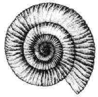 f:id:muttenz:20140423223421j:plain