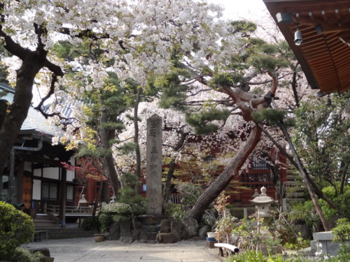 f:id:muukufu:20140405220749j:image f:id:muukufu:20140405220749j:image