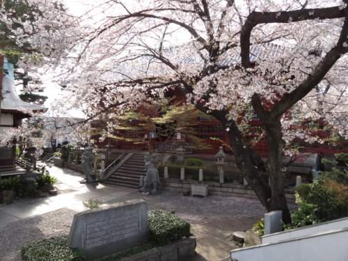 f:id:muukufu:20140405223245j:image f:id:muukufu:20140405223245j:image
