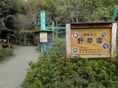 f:id:muukufu:20140427230817j:image f:id:muukufu:20140427230817j:image