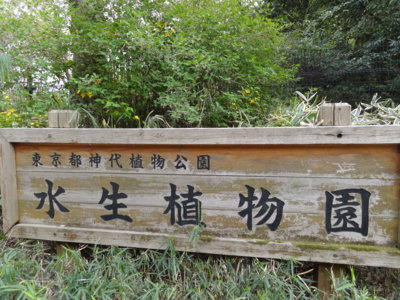 f:id:muukufu:20140429231635j:image f:id:muukufu:20140429231635j:image