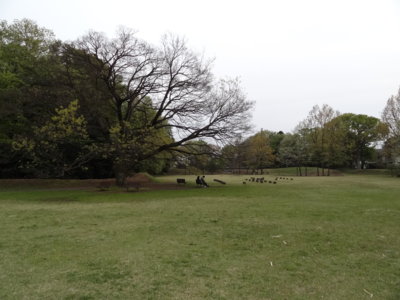f:id:muukufu:20140429235847j:image f:id:muukufu:20140429235847j:image