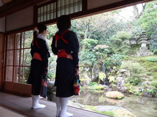 f:id:muukufu:20150106215335j:plain f:id:muukufu:20150106215335j:plain