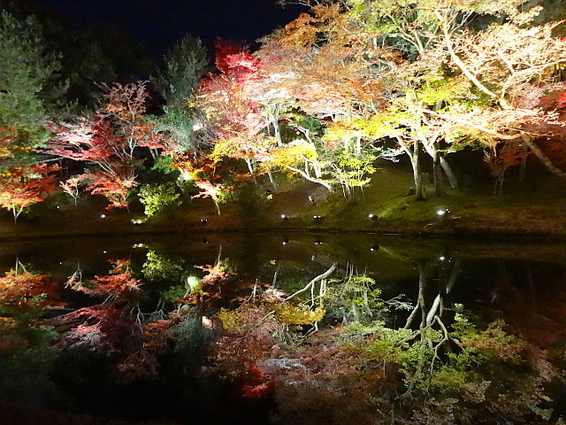 f:id:muukufu:20160118171801j:plain f:id:muukufu:20160118171801j:plain