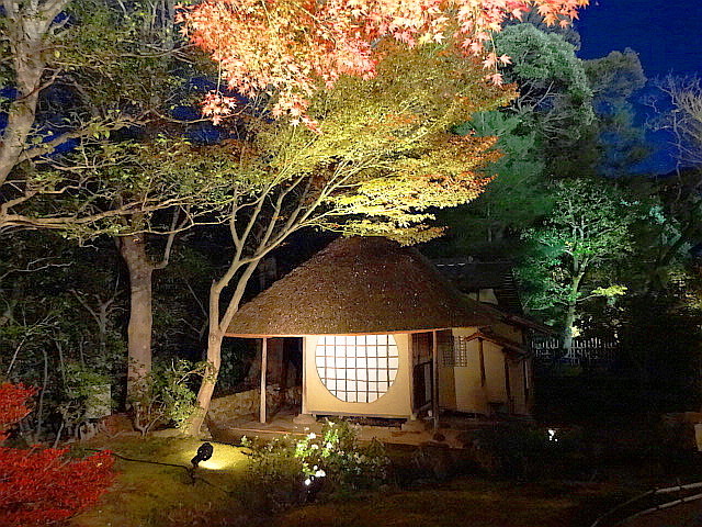 f:id:muukufu:20160118171843j:plain f:id:muukufu:20160118171843j:plain