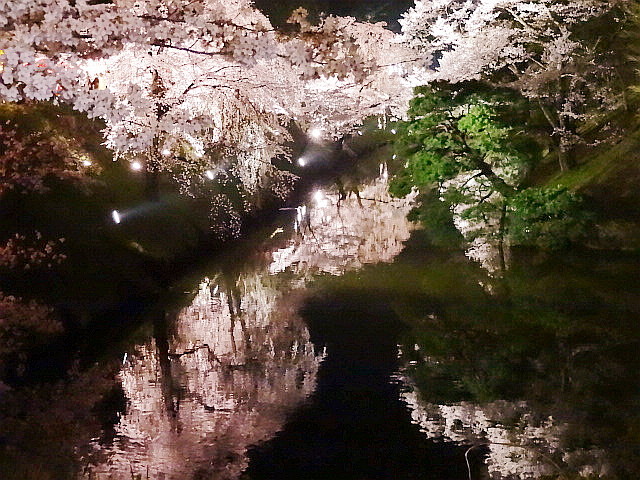 f:id:muukufu:20160418133638j:plain f:id:muukufu:20160418133638j:plain