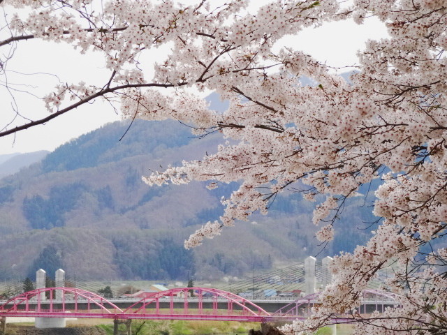 f:id:muukufu:20160418142401j:plain f:id:muukufu:20160418142401j:plain