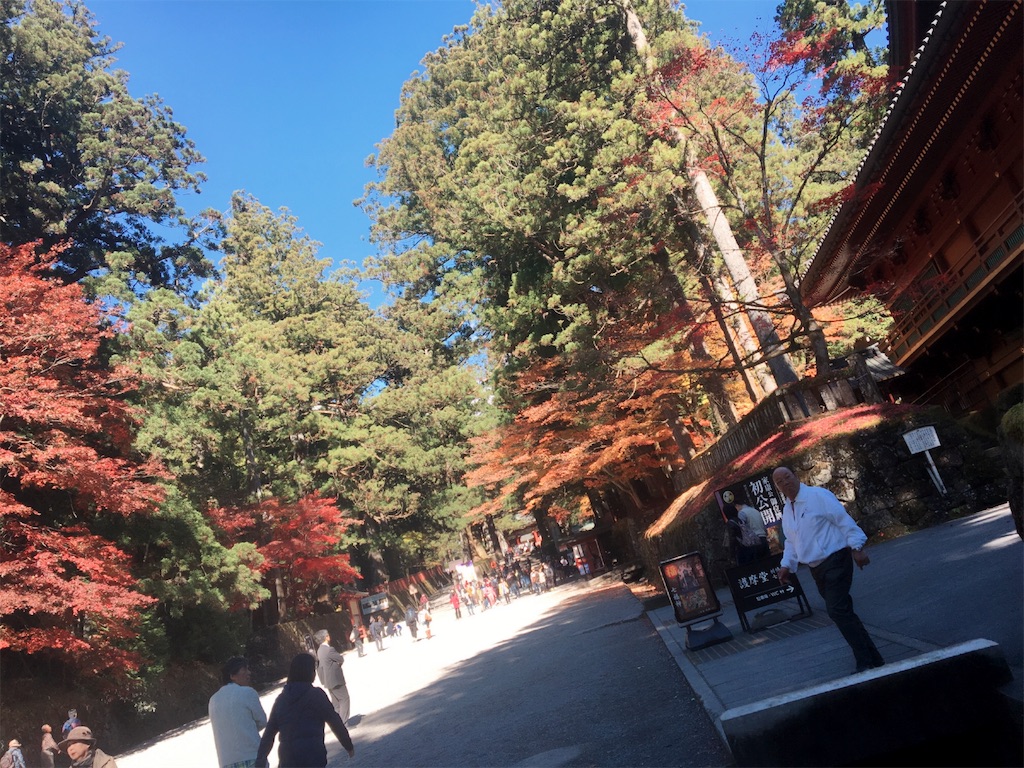 f:id:mwk-i:20151106194012j:image f:id:mwk-i:20151106194012j:image