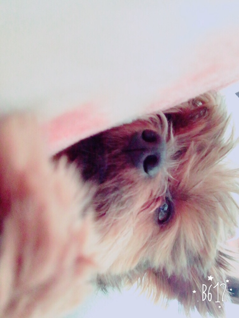 f:id:mwk-i:20160209172057j:image f:id:mwk-i:20160209172057j:image