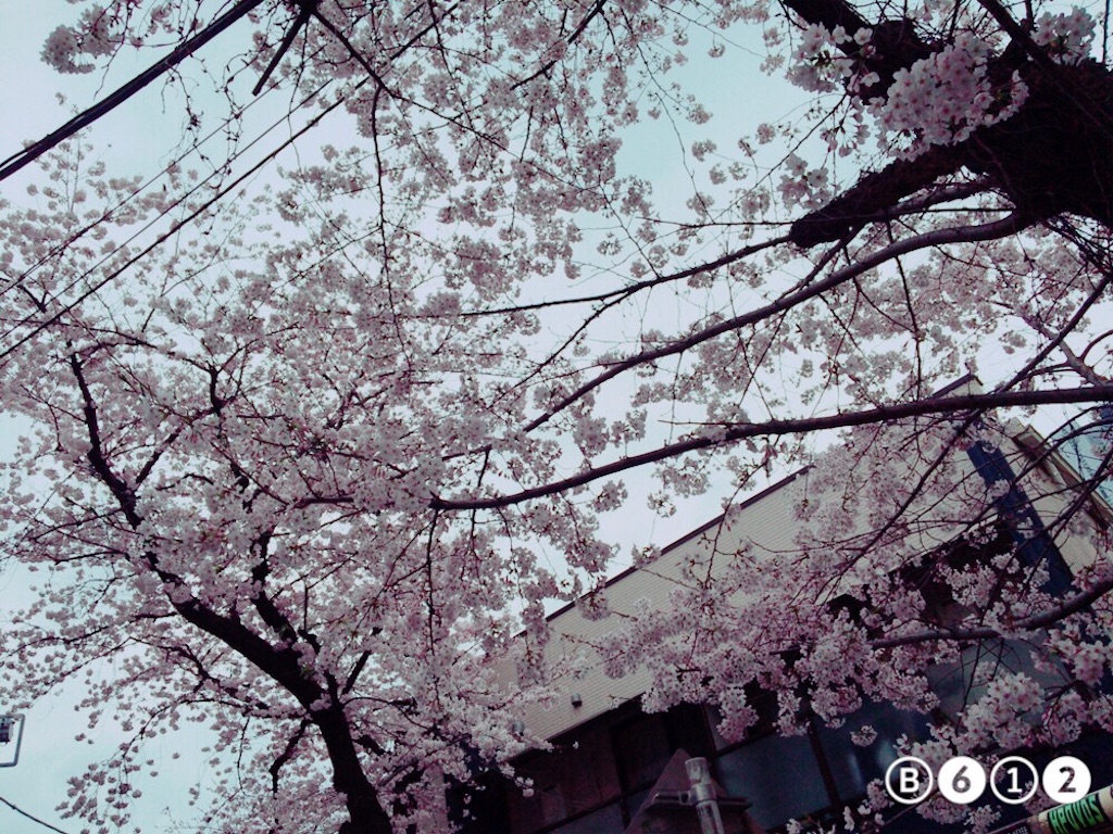 f:id:mwk-i:20160403133606j:image f:id:mwk-i:20160403133606j:image