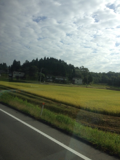 f:id:mx_sm:20141006212748j:plain f:id:mx_sm:20141006212748j:plain