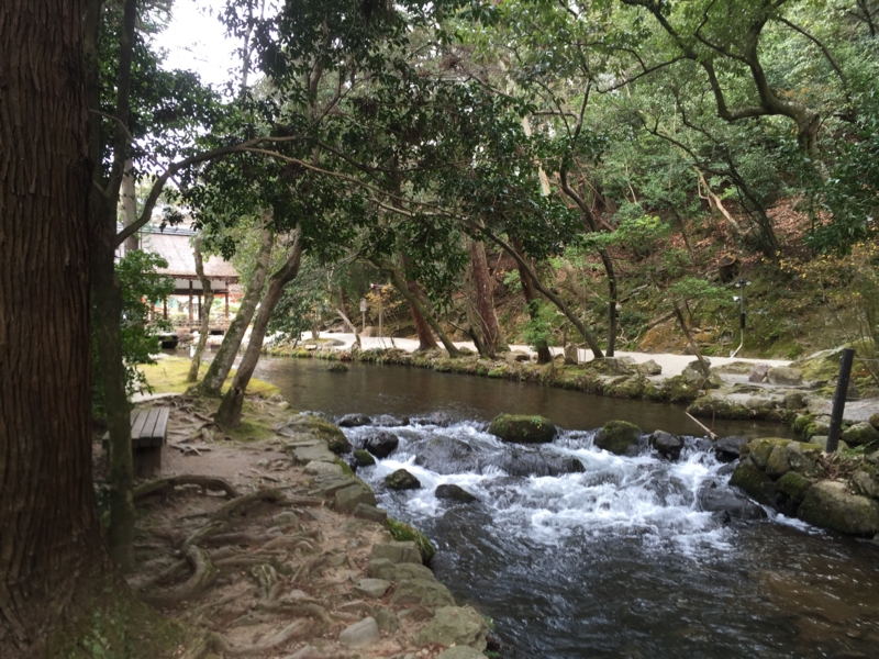 f:id:myadomachi:20160517070317j:plain f:id:myadomachi:20160517070317j:plain