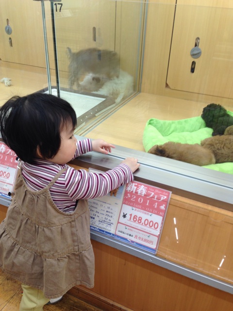 f:id:myango38:20140106231138j:plain f:id:myango38:20140106231138j:plain