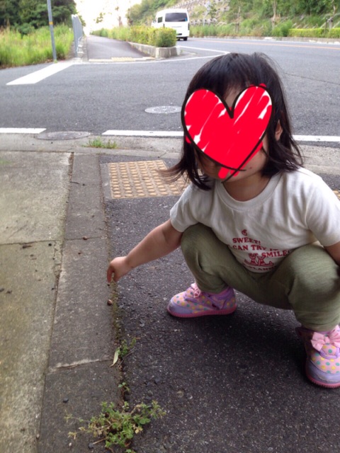 f:id:myango38:20150518134000j:image f:id:myango38:20150518134000j:image