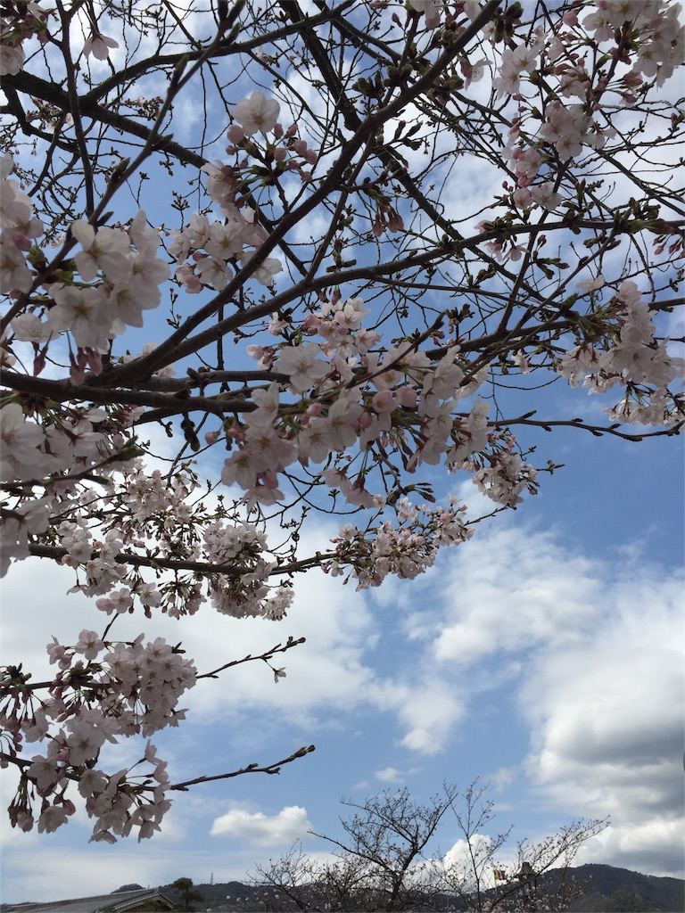 f:id:myboom:20160402210736j:image f:id:myboom:20160402210736j:image