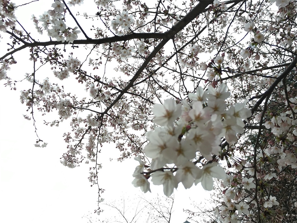 f:id:mycolor-is:20160405121338j:image f:id:mycolor-is:20160405121338j:image