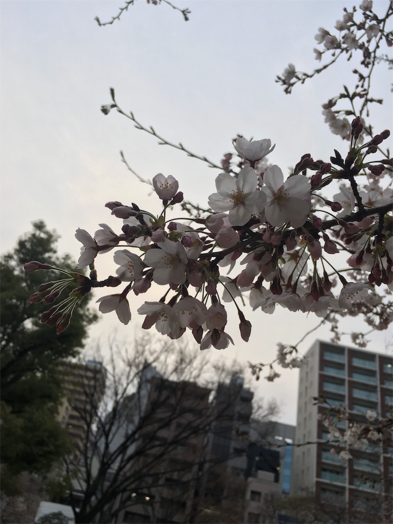 f:id:mycolor-is:20160405122449j:image f:id:mycolor-is:20160405122449j:image