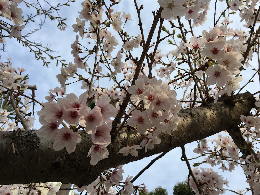 f:id:mycolor-is:20160407201520j:image f:id:mycolor-is:20160407201520j:image