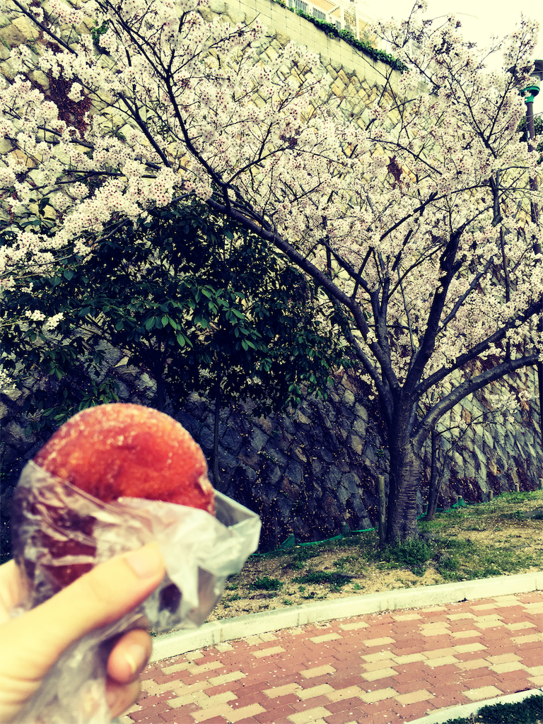 f:id:mycolor-is:20160407204153p:image f:id:mycolor-is:20160407204153p:image