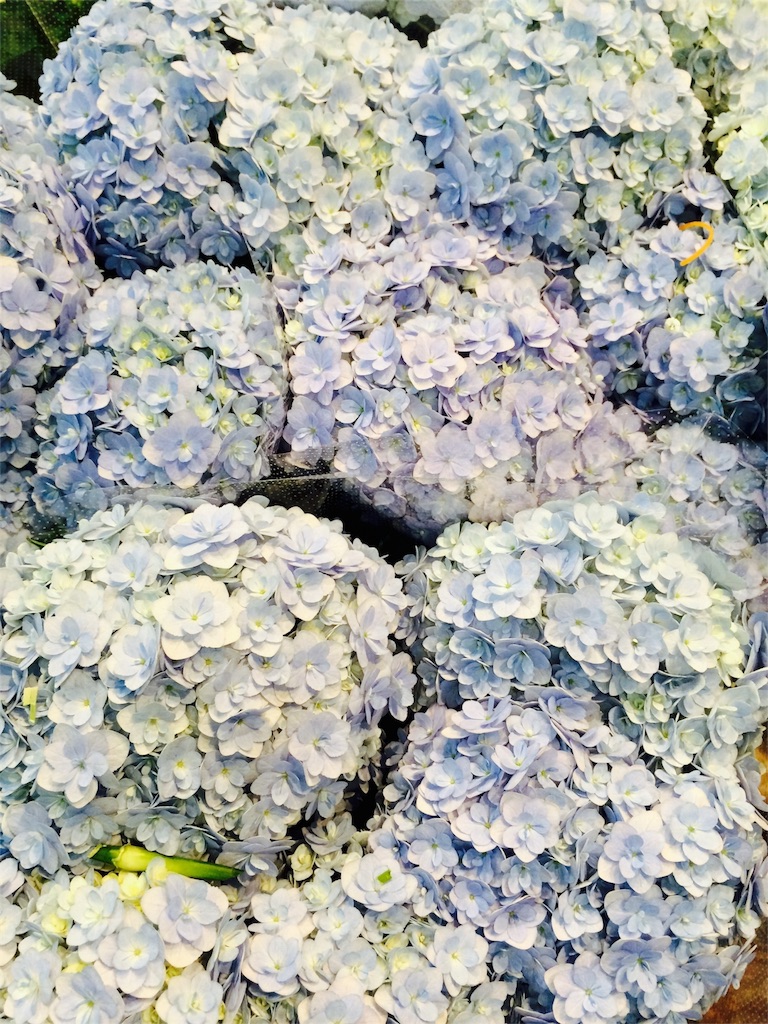 f:id:mycolor-is:20160414133328j:image f:id:mycolor-is:20160414133328j:image