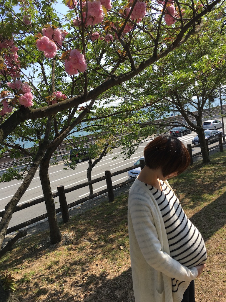 f:id:mycolor-is:20160421153913j:image f:id:mycolor-is:20160421153913j:image
