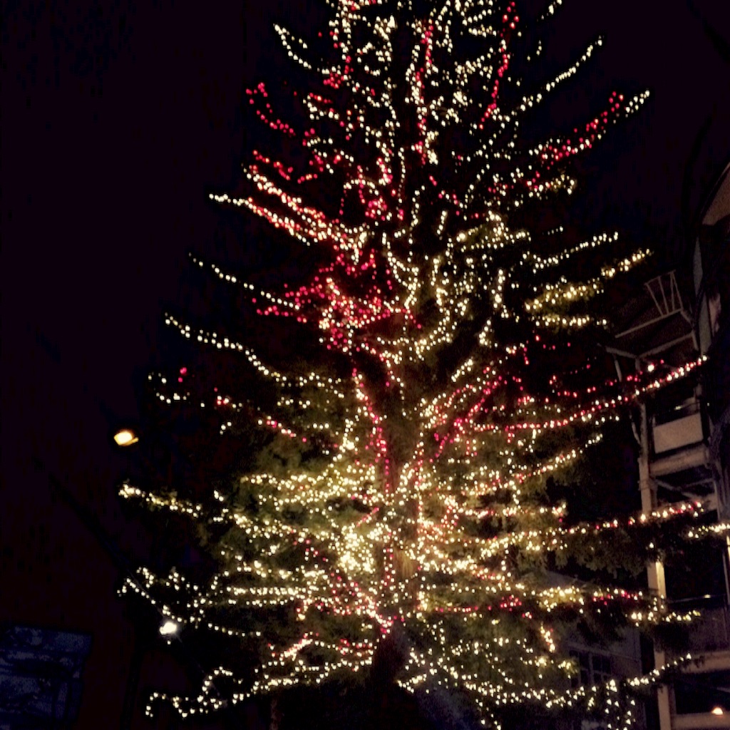 f:id:myrrh7:20151230230124j:image f:id:myrrh7:20151230230124j:image