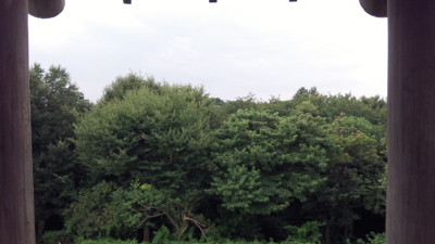 f:id:mys31055:20140827085747j:plain