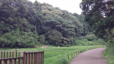 f:id:mys31055:20140827090232j:plain