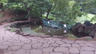 f:id:mys31055:20140827090806j:plain