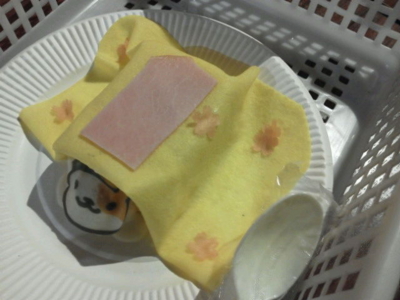 f:id:mys31055:20160502193909j:plain