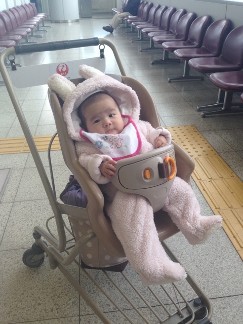 f:id:myusha128:20131227205544j:plain f:id:myusha128:20131227205544j:plain