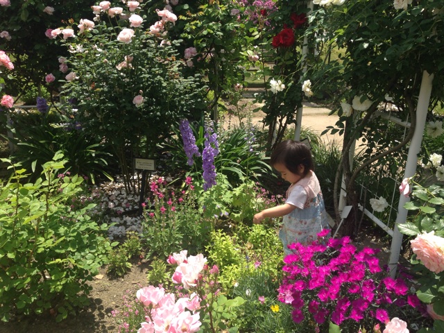 f:id:myusha128:20150706125637j:plain f:id:myusha128:20150706125637j:plain
