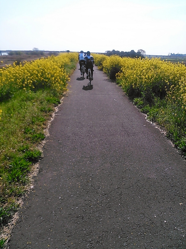 f:id:mzi:20150412083956j:plain