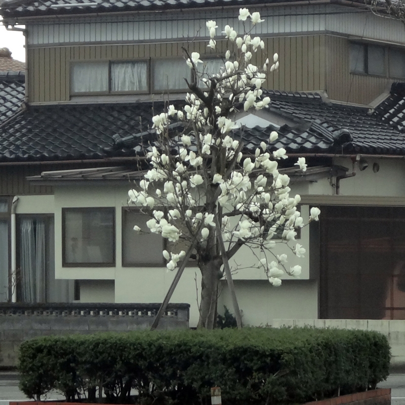 f:id:mzo:20120414164953j:plain