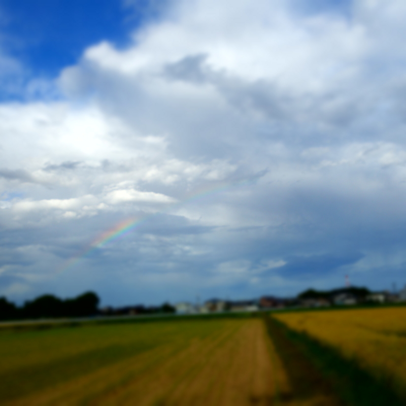 f:id:mzo:20120918074906j:plain f:id:mzo:20120918074906j:plain