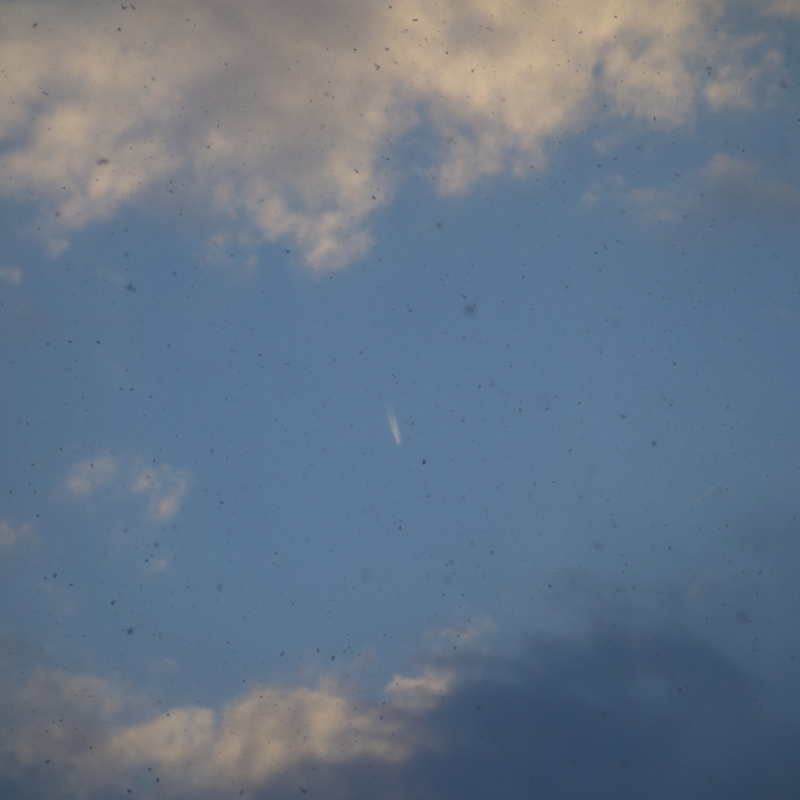 f:id:mzo:20130103163105j:plain f:id:mzo:20130103163105j:plain
